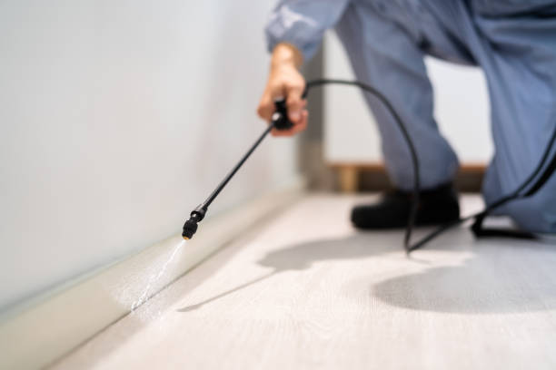 Licensed Termite Control service in Ettrick, VA - Nex Pest Control