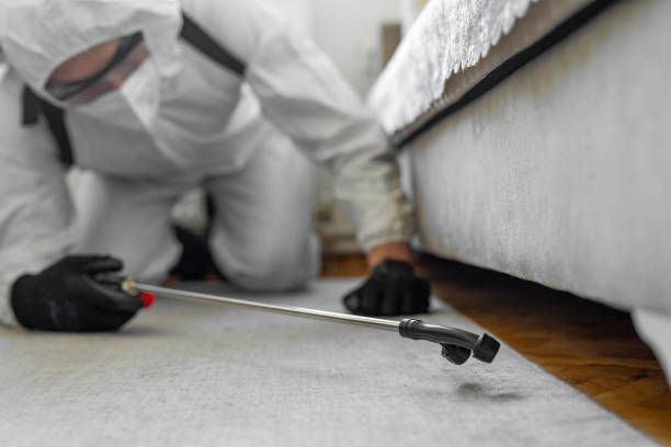 Professional Termite Control technician working in Ettrick, VA