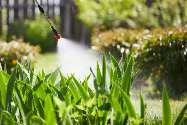 24/7 Emergency Termite Control experts in Ettrick, VA