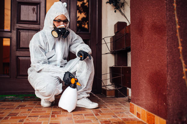 Reliable Termite Control contractor in Ettrick, VA by Nex Pest Control
