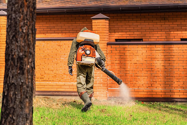 Top rated local Termite Control specialists in Ettrick, VA